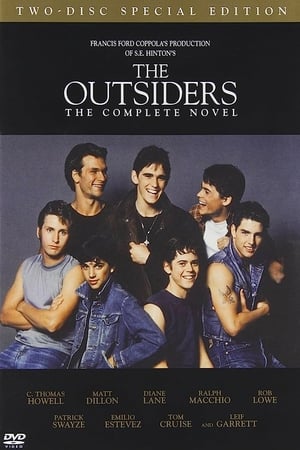 The Outsiders: The Complete Novel (2005) | Team Personality Map