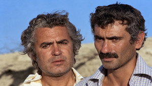 Arkadaş