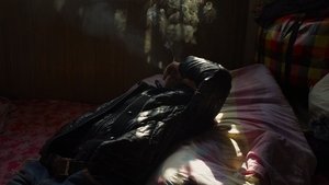 青春（春） Online En Netflix