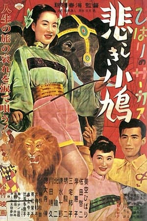 Poster ひばりのサーカス 悲しき小鳩 1952