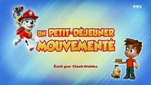 Paw Patrol Helfer auf vier Pfoten: 6×22