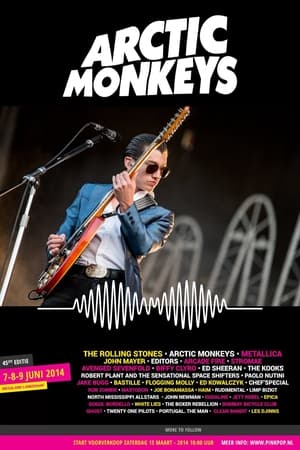 Image Arctic Monkeys Live at Pinkpop Festival 2014