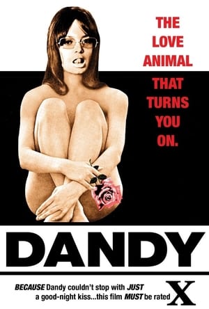 Poster Dandy 1970