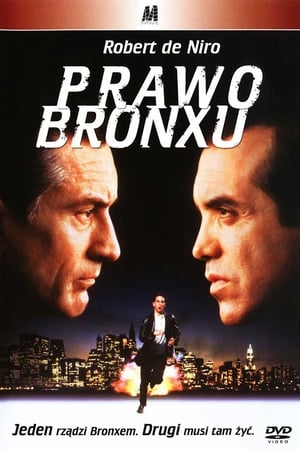 Poster Prawo Bronxu 1993