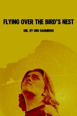 Image Flying Over The Bird's Nest