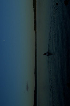 THE WATERS 3