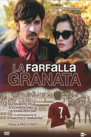 Poster La farfalla granata 2013
