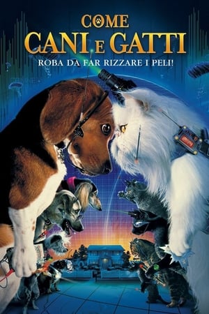 Poster Come cani e gatti 2001