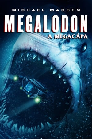 Megalodon - A megacápa (2018)