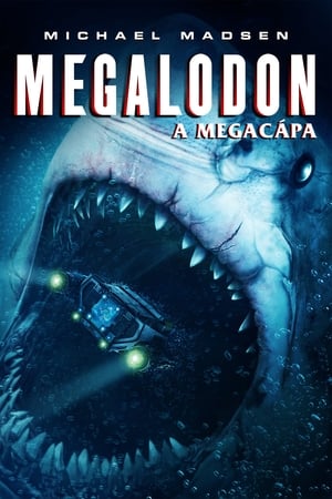 Image Megalodon - A megacápa