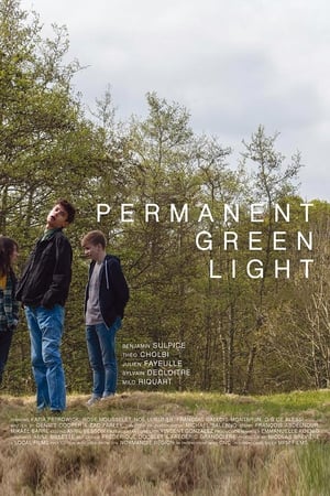 Image Permanent Green Light