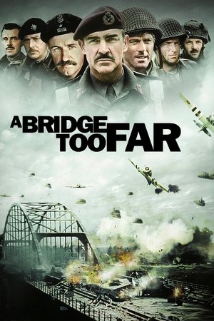 Image Een Brug te Ver
