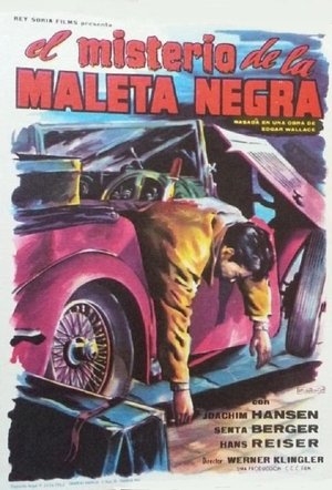 El misterio de la maleta negra