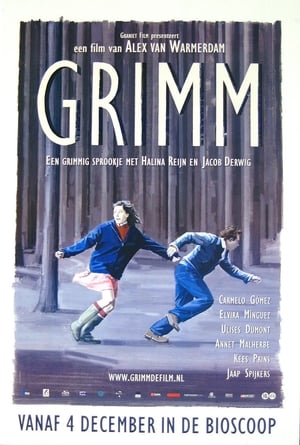 Poster Grimm 2003