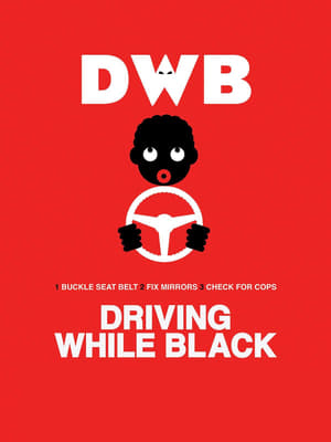 Poster Driving While Black (2015)