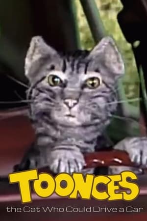 Toonces, the Cat Who Could Drive a Car