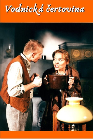Vodnick&aacute; čertovina (1996)