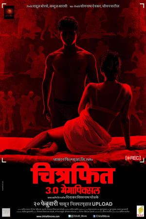 चित्रफित 3.0 Megapixel (2015)