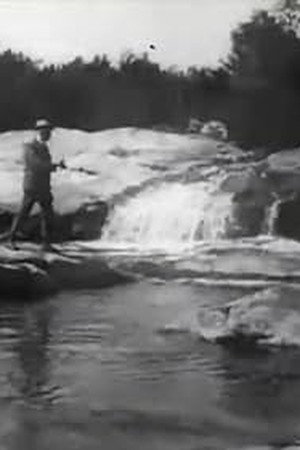 Brook Trout Fishing