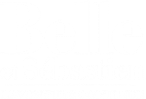 Belle and Sebastian: The Adventure Continues