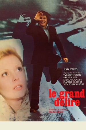 Poster Le grand délire 1975