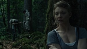 فيلم The Forest 2016 مترجم