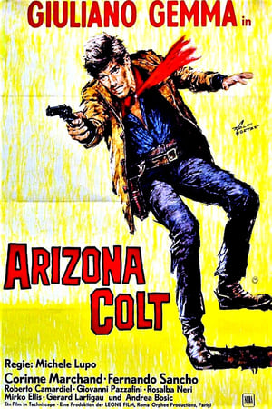 Poster Arizona Colt 1966