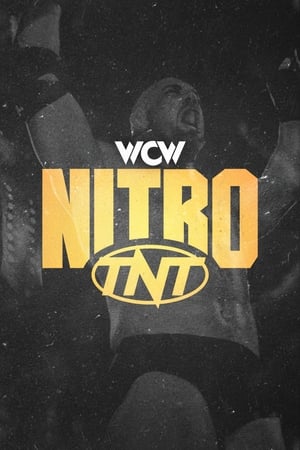 Poster WCW Monday Nitro 1995