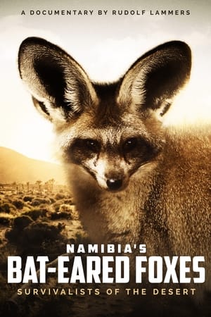 Poster Namibia's Bat-eared Foxes: Survivalists of the Desert (2007)