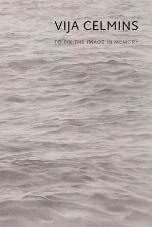 Vija Celmins: To Fix the Image in Memory
