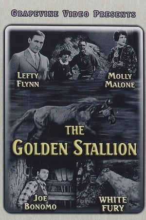 Poster The Golden Stallion (1927)