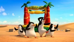 Captura de Madagascar 3: Los Fugitivos (2012) Dual 1080p