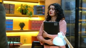 Raisinghani VS. Raisinghani: 1×28