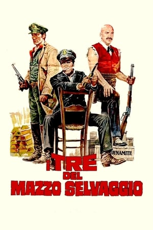 Poster I tre del mazzo selvaggio 1972