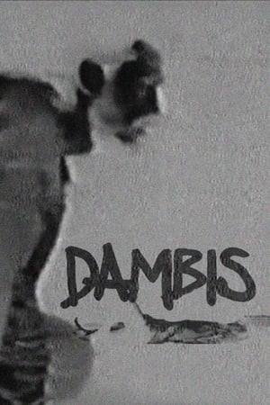 Image Dambis