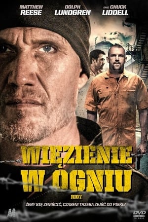 Poster Więzienie w Ogniu 2015