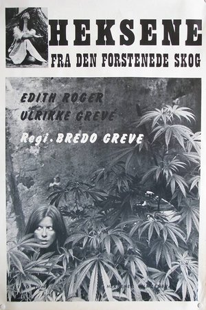 Poster Heksene fra den forstenede skog 1976