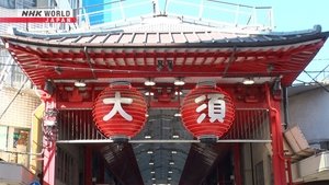 Journeys in Japan: 14×1