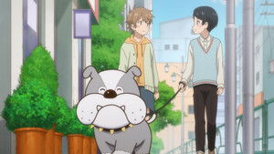 Uchitama! Have you seen my Tama?: 1×4