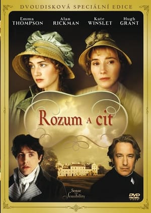 Poster Rozum a cit 1995