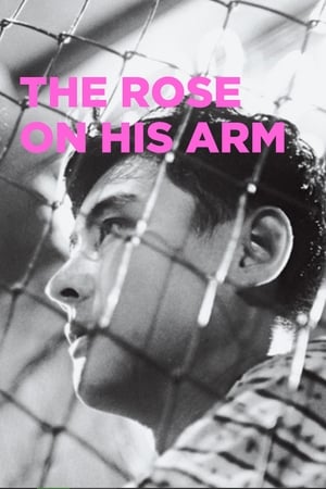 Poster The Rose on His Arm (1956)