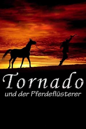 Image Tornado und der Pferdeflüsterer
