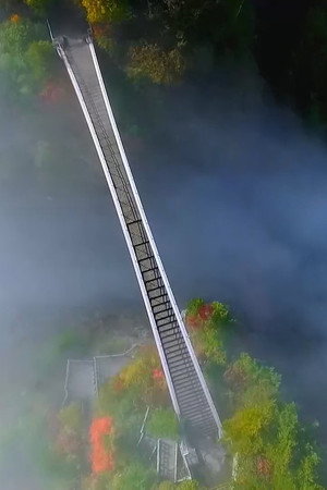 自然密语：神农架