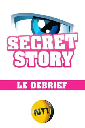 Poster Secret Story - Le Débrief 2015