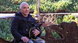 Cesar Millan: Better Human, Better Dog Twin Trouble