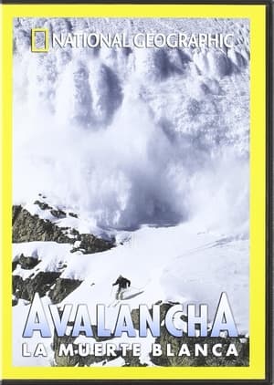 Poster Avalanche: The White Death 1998