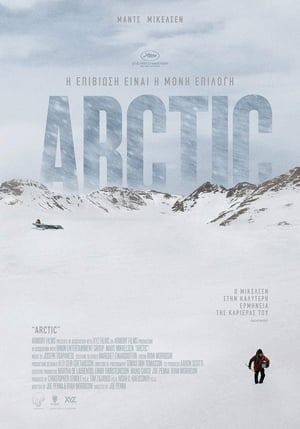 Poster Arctic 2018