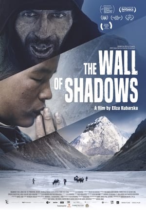 Image The Wall of Shadows