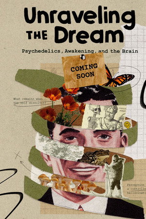 Unraveling the Dream 3