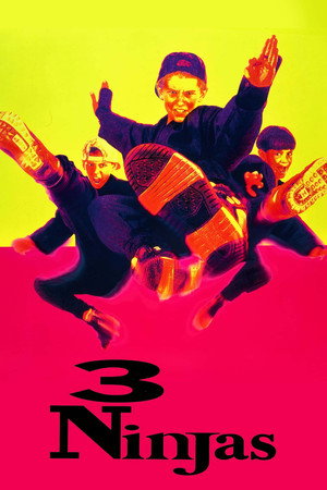 3 Ninjas 28